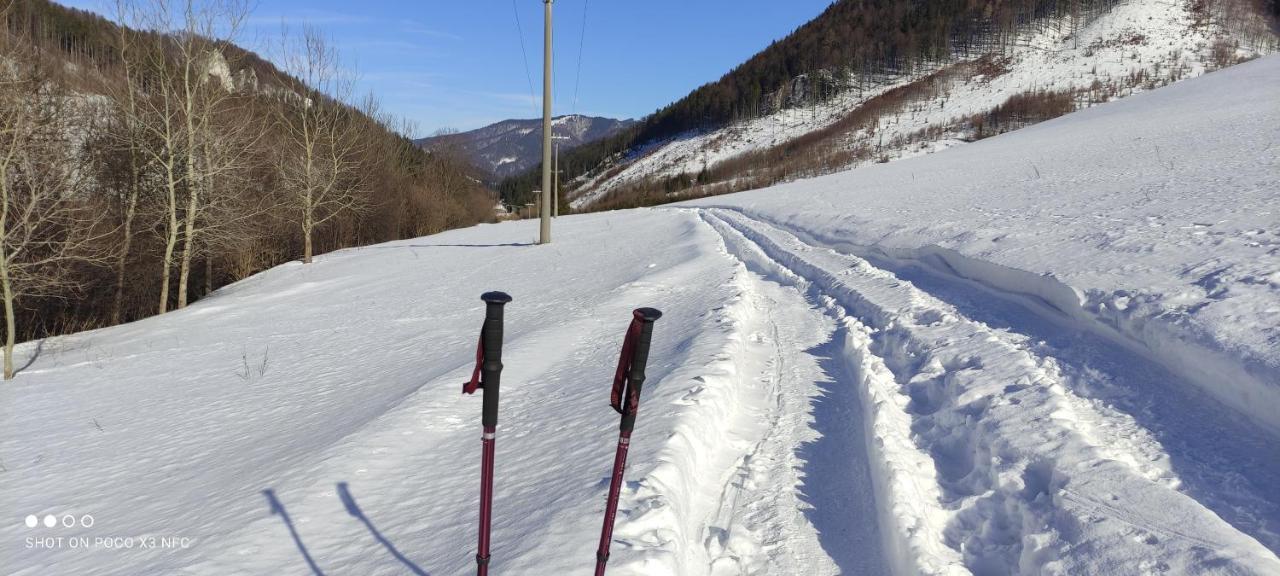 Penzion Soltis Liptovske Revuce Экстерьер фото